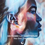 cover: Janet Taylor|Sin Plomo - You Got The Love