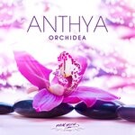 cover: Anthya - Orchidea