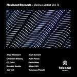 cover: Various - Flexbeat Records Vol 3