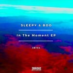 cover: Sleepy & Boo - In The Moment