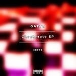 cover: Gatto - Checkmate