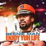 cover: Beenie Man - Enjoy Yuh Life