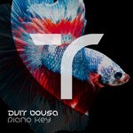 cover: Dvit Bousa - Piano Key