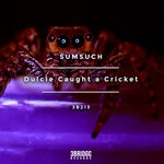 cover: Sumsuch - Dulcie Caught A Cricket