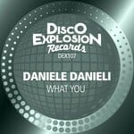 cover: Daniele Danieli - What You (Extended Mix)