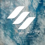 cover: Jaytor - What You're Doing