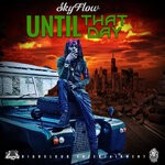 cover: Skyflow - Until That Day