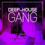 cover: Various - Deep-House Gang Vol 3