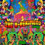 cover: Zorak - The X-Periment