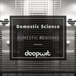 cover: Domestic Science - Domestic Reworks