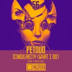 cover: Petduo - Singularity (What I Do)