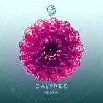 cover: Modbit - Calypso