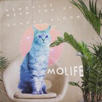 cover: Molife - Memories Warm You Up/Sunday Bloom