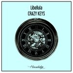 cover: Nu Ground Foundation|Libellula - Crazy Keys