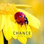 cover: Guray Kilic - Chance