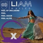 cover: Liam Mayled - Feel EP