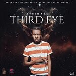 cover: Synimaxx - Third Eye