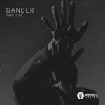 cover: Gander - Turn It Up