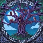 cover: Avaris|Nightbirds - Nocturnal Owl Symphony