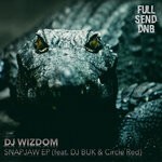 cover: Dj Wizdom - Snapjaw EP