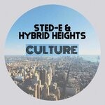 cover: Sted-e & Hybrid Heights - Culture