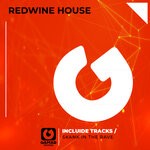 cover: Redwine House - Skank In The Rave (Explicit)