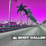 cover: Zai Hamilton - Shot Caller