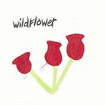 cover: Wildflower - Better Times