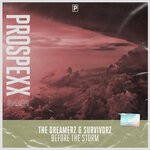 cover: Survivorz|The Dreamerz - Before The Storm (Original Mix)