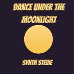 cover: Synth Stevie - Dance Under The Moonlight