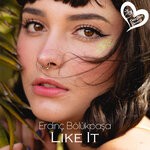 cover: Erdinc Bolukpasa - Like It