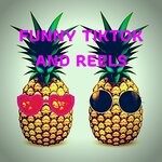 cover: Funny Tiktok|Reels - Funny