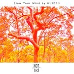 cover: Guizzo - Blow Your Mind