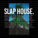 cover: House Music - Slap House