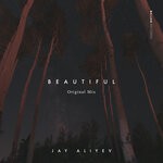 cover: Jay Aliyev - Beautiful (Original Mix)