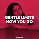 cover: Gentle Limits - Now You Go