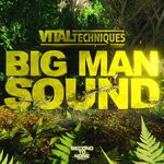 cover: Vital Techniques - Big Man Sound