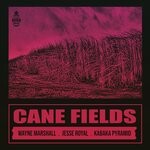 cover: Jesse Royal|Kabaka Pyramid|Natural High Music|Wayne Marshall - Cane Fields (Explicit)