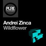 cover: Andrei Zinca - Wildflower (Extended Mix)