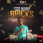 cover: Hyce Frozenboss - Too Many Bricks