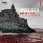 cover: Bonez Skeletonez|Red Pill Gang Feat Rose Legacy - Red Sea (Explicit)