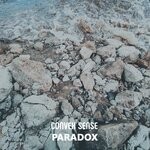 cover: Convex Sense - Paradox