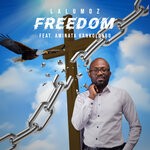 cover: Aminata Kankolongo|Lalumoz - Freedom