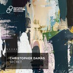 cover: Christopher Damas - Secret