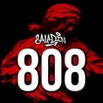 cover: Saladin - 808