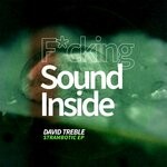 cover: David Treble - Strambotic