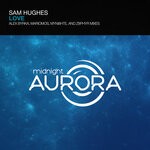 cover: Sam Hughes - Love