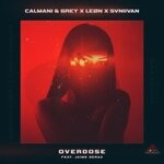 cover: Svniivan|Calmani & Grey|Jaime Deraz - Overdose