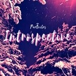 cover: Freespirit - Introspective