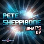 cover: Pete Sheppibone - What's Up (Remixes)